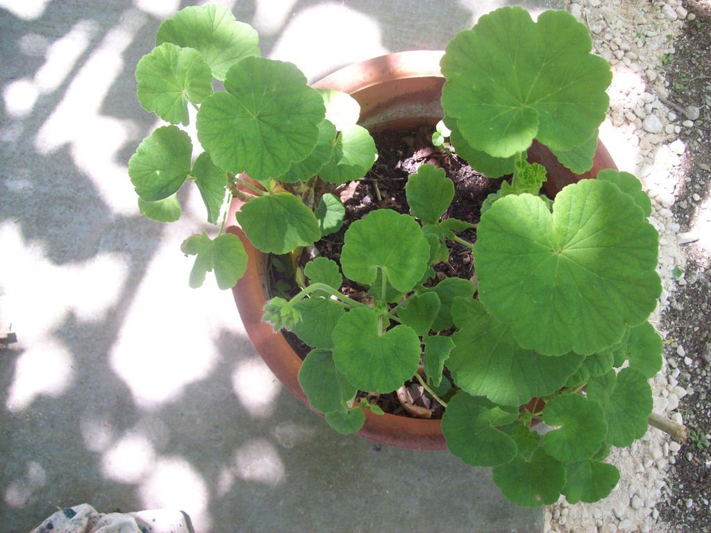 Villa Vania Gardenos Vitaládes 외부 사진